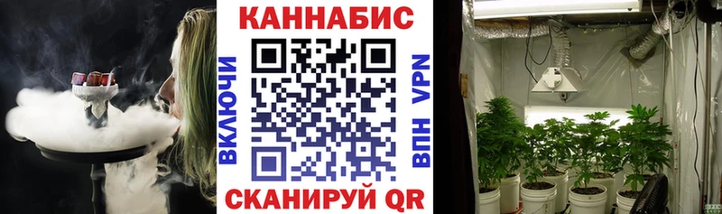 Как найти закладки Кировград Героин  Меф мяу мяу  APVP  Галлюциногенные грибы  ГАШ  Cocaine 
