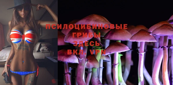 ECSTASY Алексин