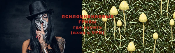 ECSTASY Алексин