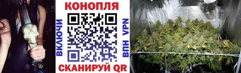 Шишки марихуана VHQ  Кировград 